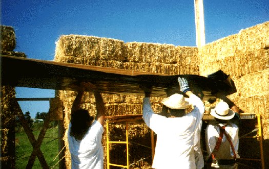 People raise a top plate